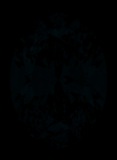 Face-up Fluorescence