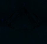 Fluorescence