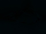 Fluorescence