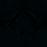 Fluorescence