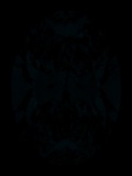 Face-up Fluorescence