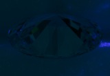Fluorescence
