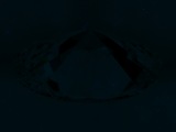 Fluorescence