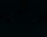 Fluorescence