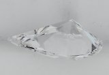 Color Lab Swinging