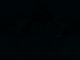 Fluorescence
