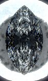 Darkfield ML