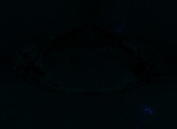 Fluorescence