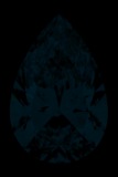 Face-up Fluorescence
