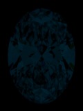Face-up Fluorescence