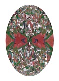 ASET White