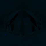 Fluorescence