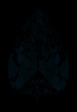 Face-up Fluorescence