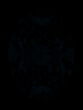 Face-up Fluorescence