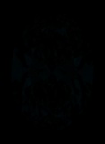 Face-up Fluorescence