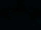 Fluorescence