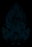 Face-up Fluorescence