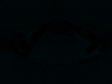Fluorescence