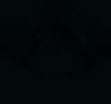 Fluorescence