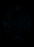 Face-up Fluorescence