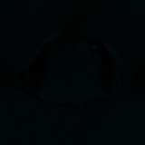 Fluorescence