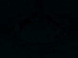 Fluorescence