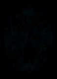 Face-up Fluorescence