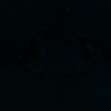 Fluorescence