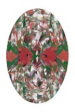 ASET White