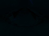 Fluorescence