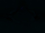 Fluorescence