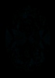 Face-up Fluorescence