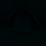 Fluorescence
