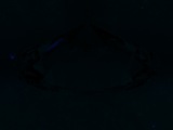 Fluorescence