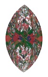 ASET White