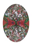 ASET White
