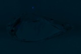Fluorescence