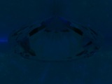 Fluorescence
