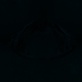 Fluorescence