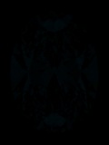 Face-up Fluorescence