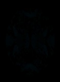 Face-up Fluorescence