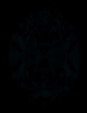 Face-up Fluorescence
