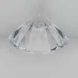 Color Lab Swinging