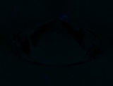 Fluorescence