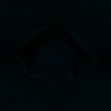 Fluorescence