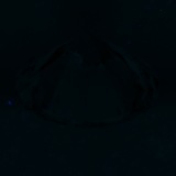 Fluorescence