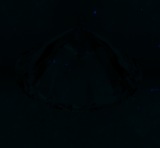 Fluorescence