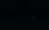 Fluorescence