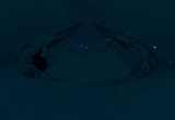 Fluorescence