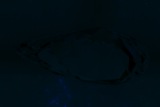 Fluorescence